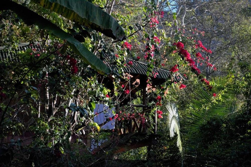Mariri Jungle Lodge Alto Paraiso de Goias Exterior photo